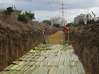 ����� ����� ������