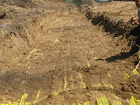 ����� ����� ������